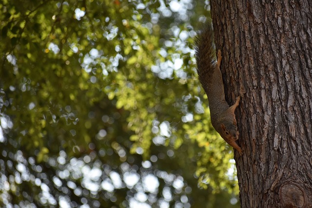 这些外援助 这些外援助