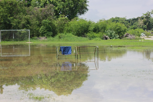 对于居住在 对于居住在