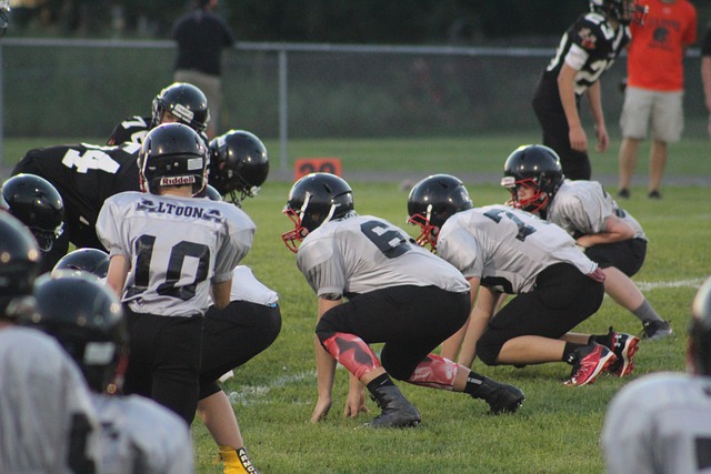 能启发包括 能启发包括