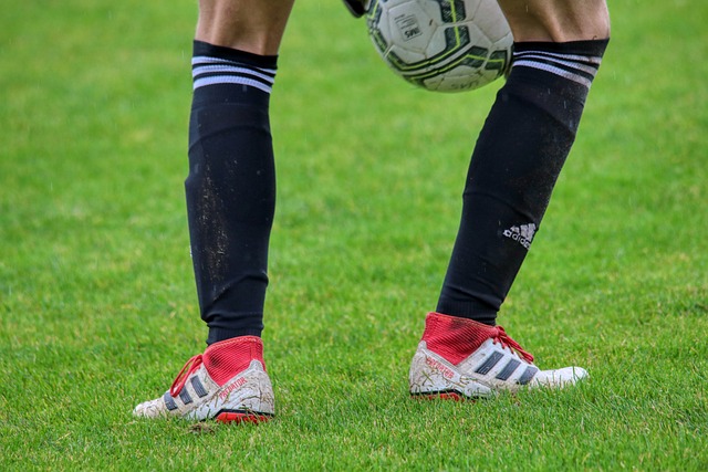 了他的实力 了他的实力