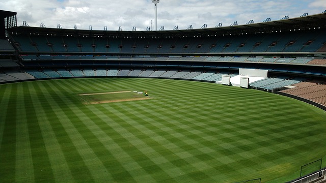 旅游爱好者 旅游爱好者