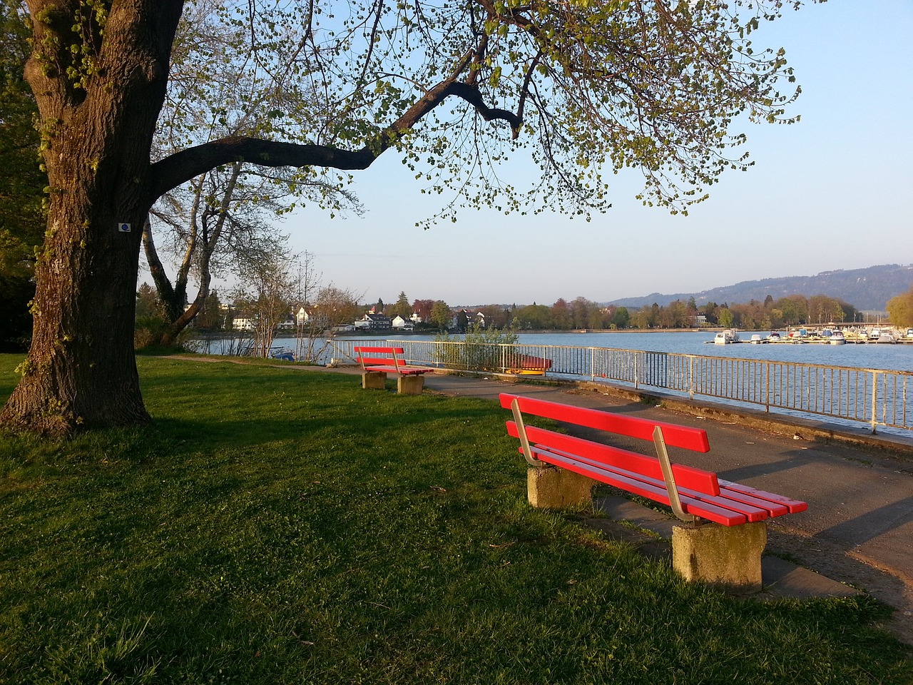 他的精准传 他的精准传