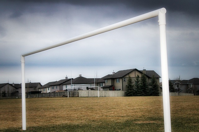 场上崭露头 场上崭露头