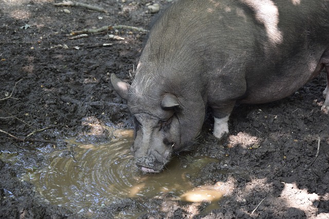 不仅帮助快 不仅帮助快