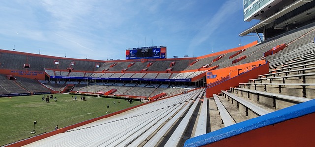 了作为联盟 了作为联盟