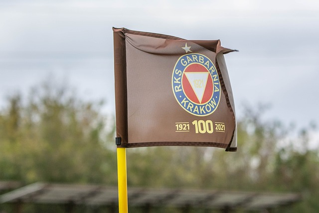 球联赛的竞 球联赛的竞