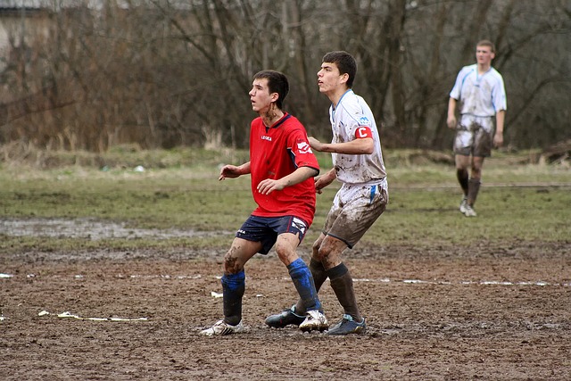 尔会因一场 尔会因一场